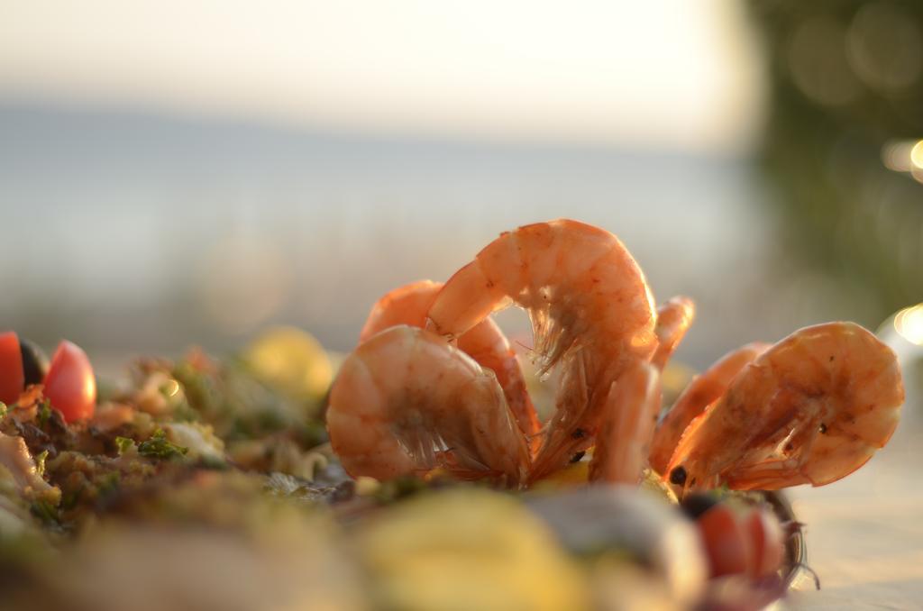 Hotel Garden Vlore Exterior photo